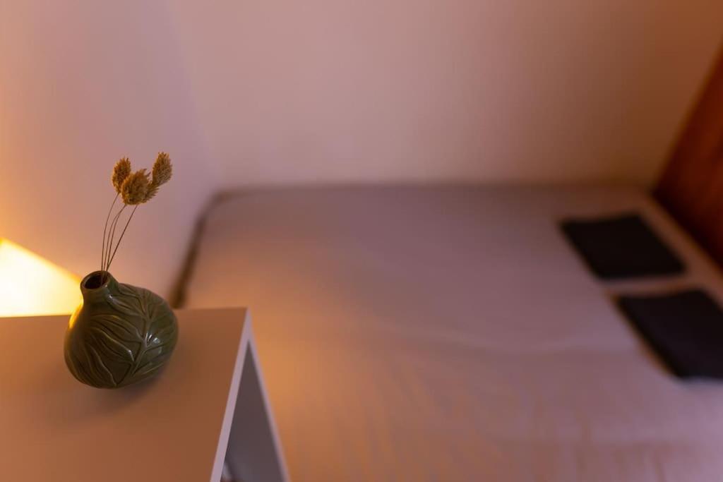 Studio Voltaire Au Coeur De Jaures Belfort Luaran gambar